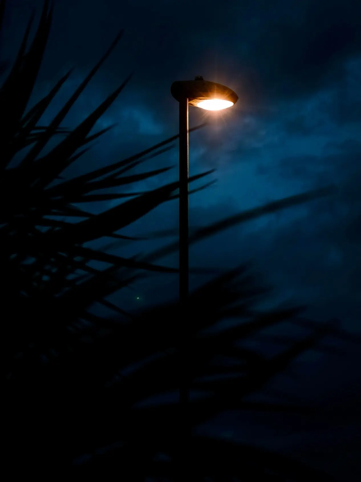 Streetlight glowing through rain on a dark night in Shoreham